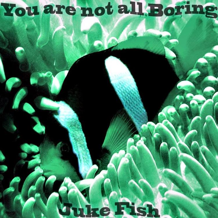 You are not all Boring's avatar image