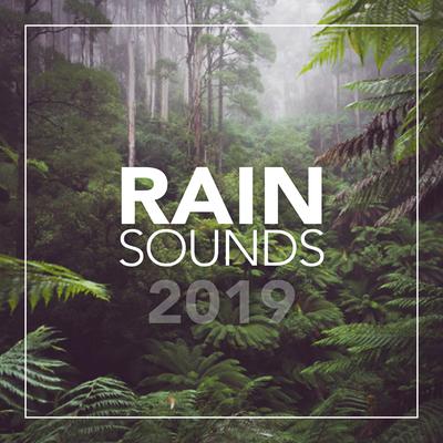 Rain Sounds 2019's cover