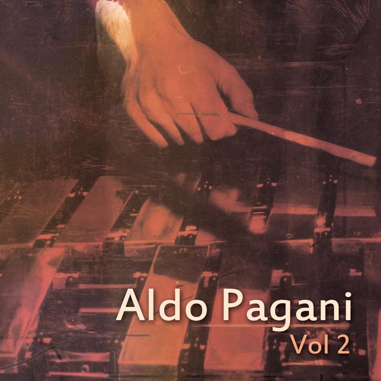 Aldo Pagani's avatar image