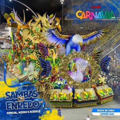 Liga Carnaval SP's cover