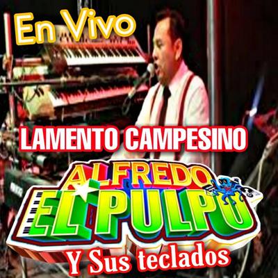 Llegaron los Canonazos (En Vivo)'s cover