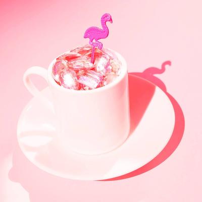 Pink Flamingo Rhythm Revue's cover