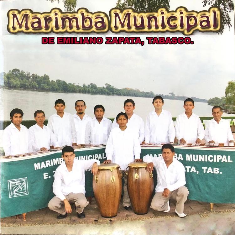 Marimba Municipal de Emiliano Zapata, Tabasco's avatar image