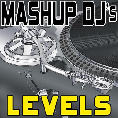 Levels (Remix Tools for Mash-Ups)'s cover