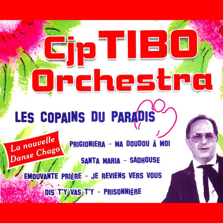 CJP Tibo Orchestra's avatar image