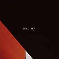FELINA's avatar cover