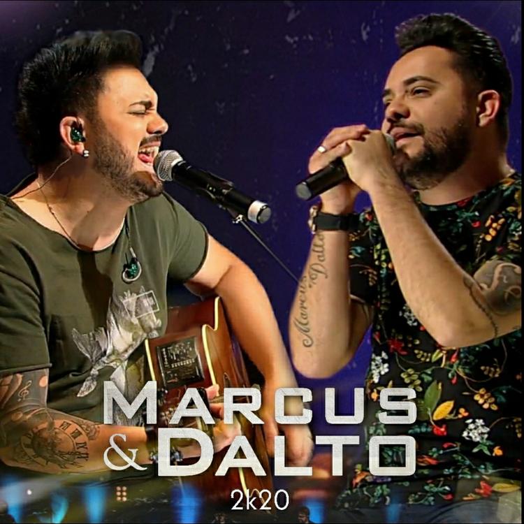 MARCUS E DALTO's avatar image