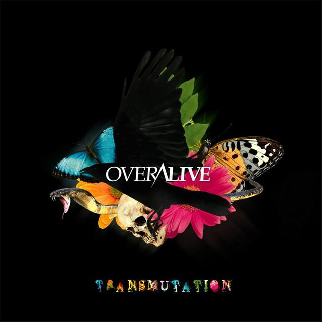 Overalive's avatar image