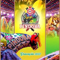Boi da Pindoba's avatar cover