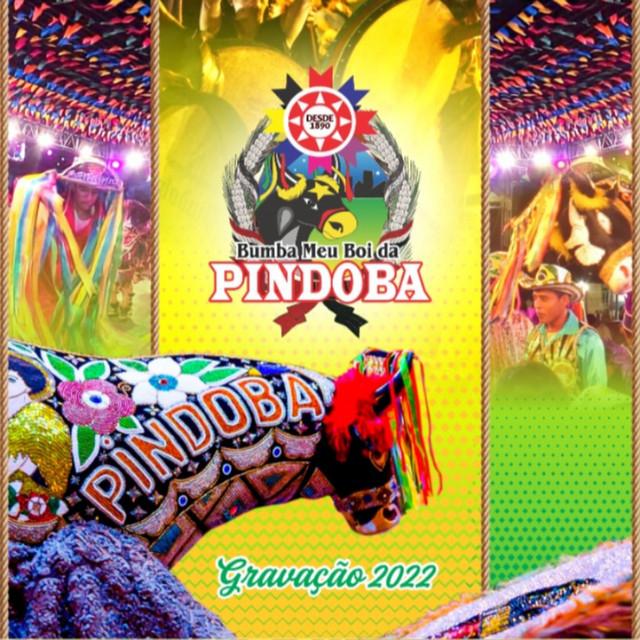 Boi da Pindoba's avatar image