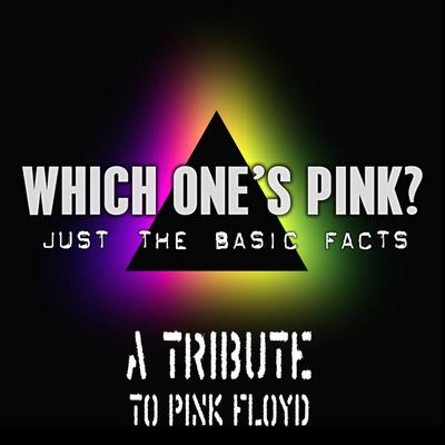 Wish You Were Here By Which One's Pink?'s cover