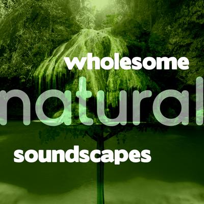 Wholesome Natural Soundscapes's cover