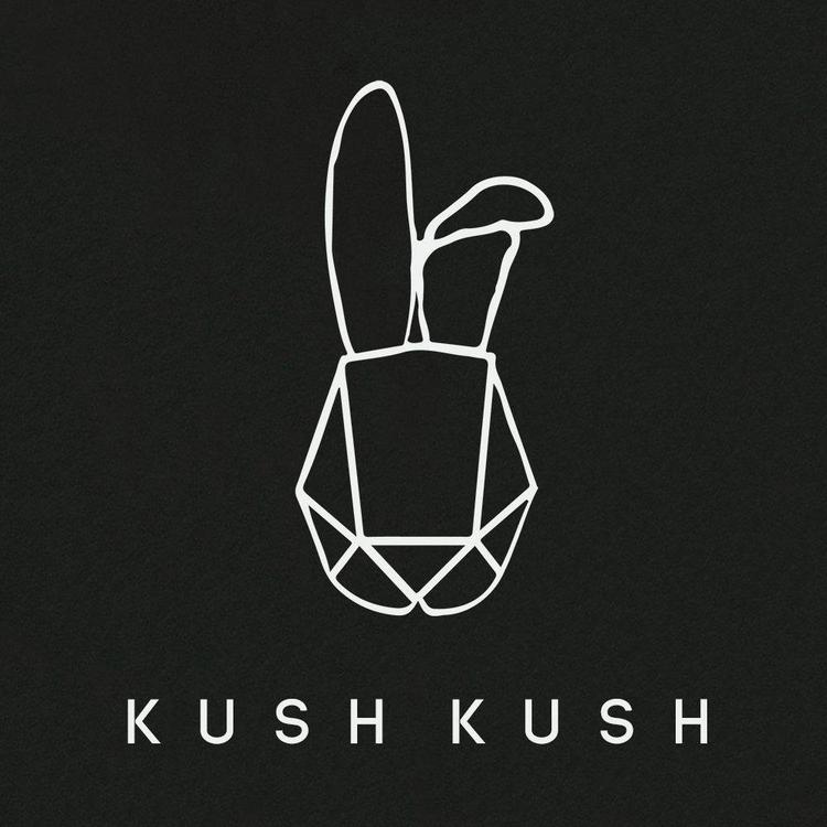 Kush Kush's avatar image