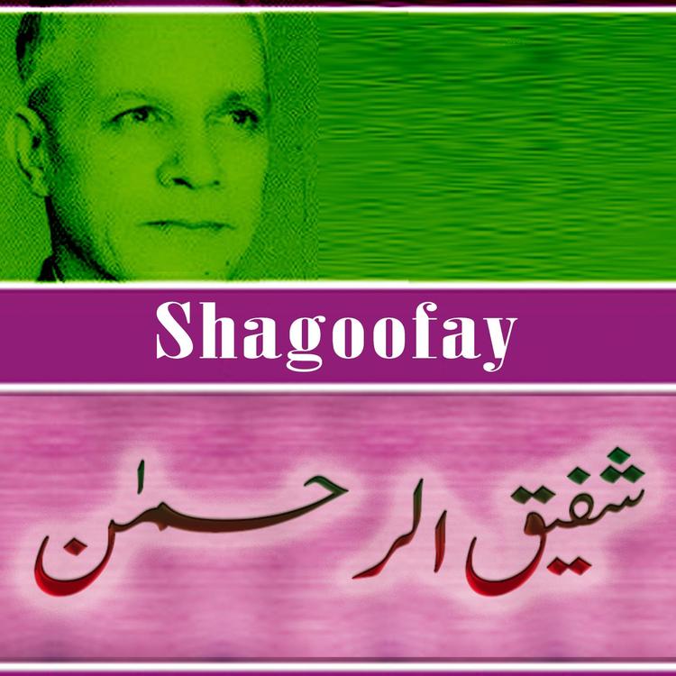 Shafiq ur Rehman's avatar image