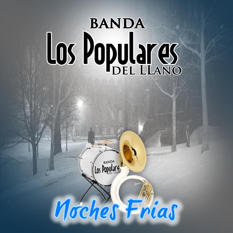 Banda Los Populares del Llano's avatar image