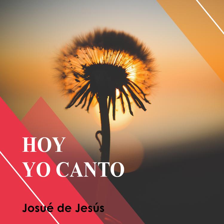 Josué de Jesús's avatar image
