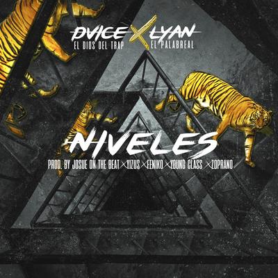 Niveles (feat. Lyan)'s cover