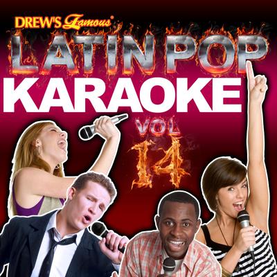 Latin Pop Karaoke, Vol. 14's cover