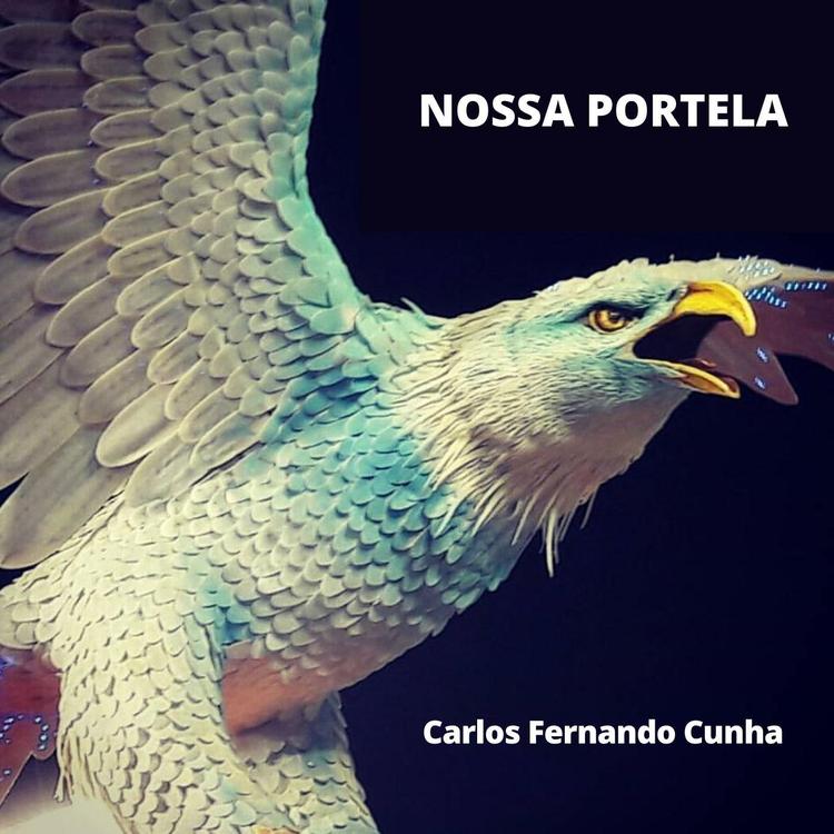 Carlos Fernando Cunha's avatar image
