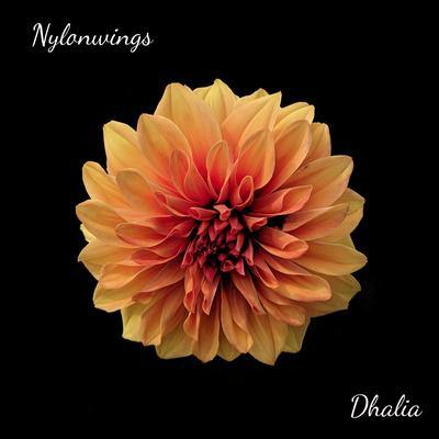Dhalia By Nylonwings's cover