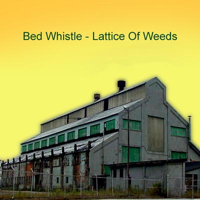 Lattice of Weeds's cover