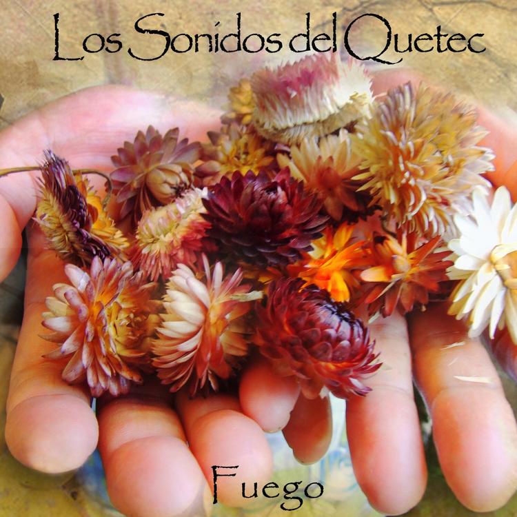 Los Sonidos Del Quetec's avatar image