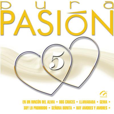 Pura Pasión, Vol. 5's cover