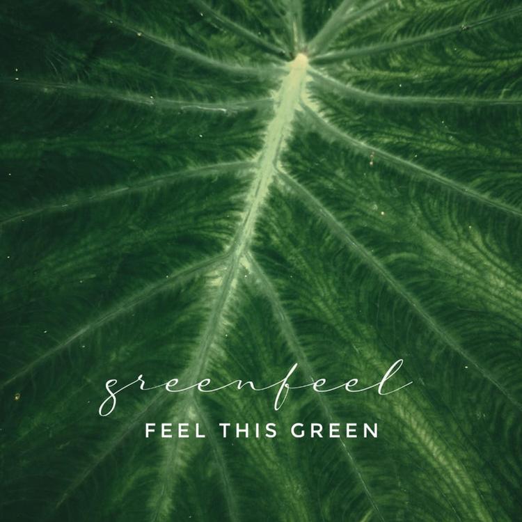 Greenfeel's avatar image