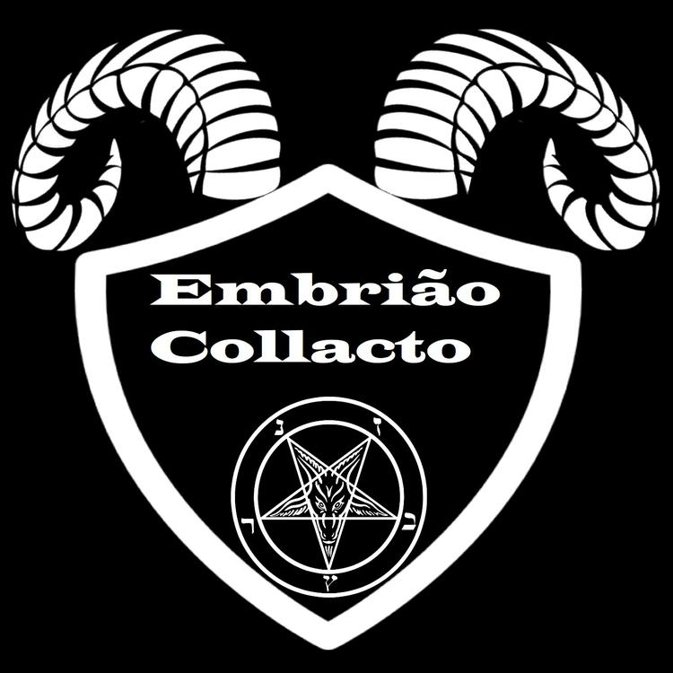 Embrião Collacto's avatar image