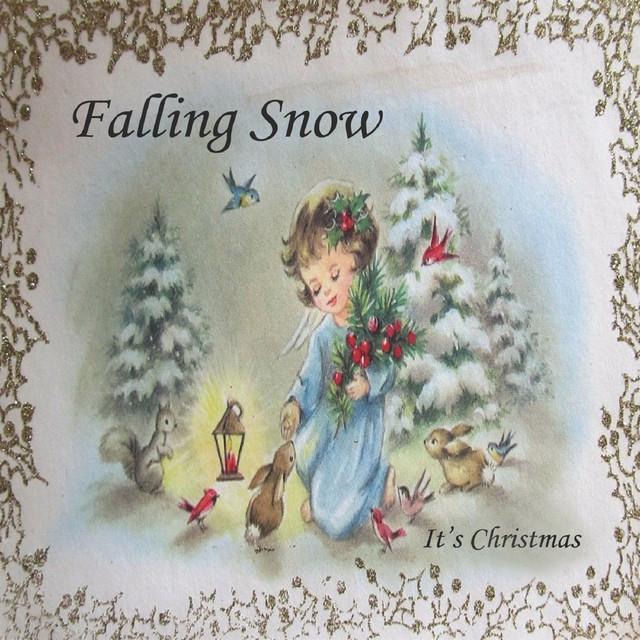 Falling Snow's avatar image