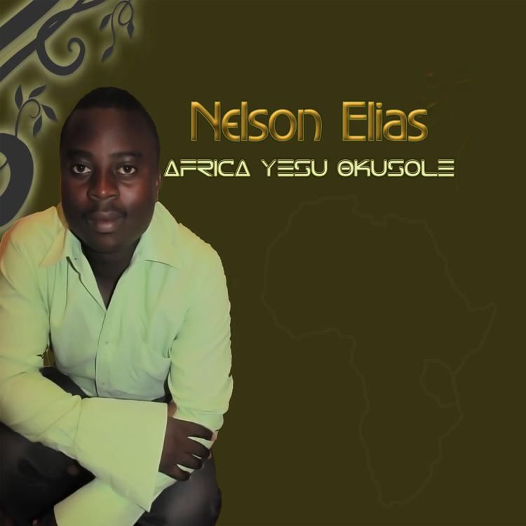 Nelson Elias's avatar image