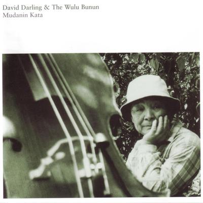 Pasibutbut By David Darling & The Wulu Bunun's cover