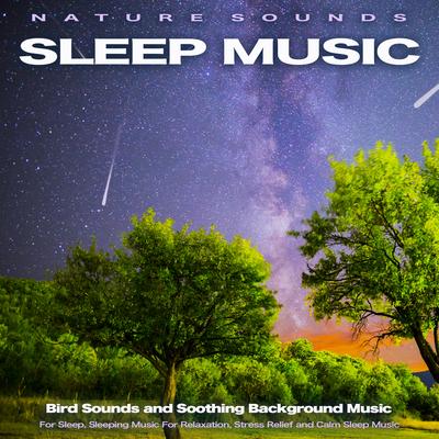 Nature Sounds Sleep Music By Sleeping Music, Deep Sleep Music Collective, Deep Sleep Music Experience's cover