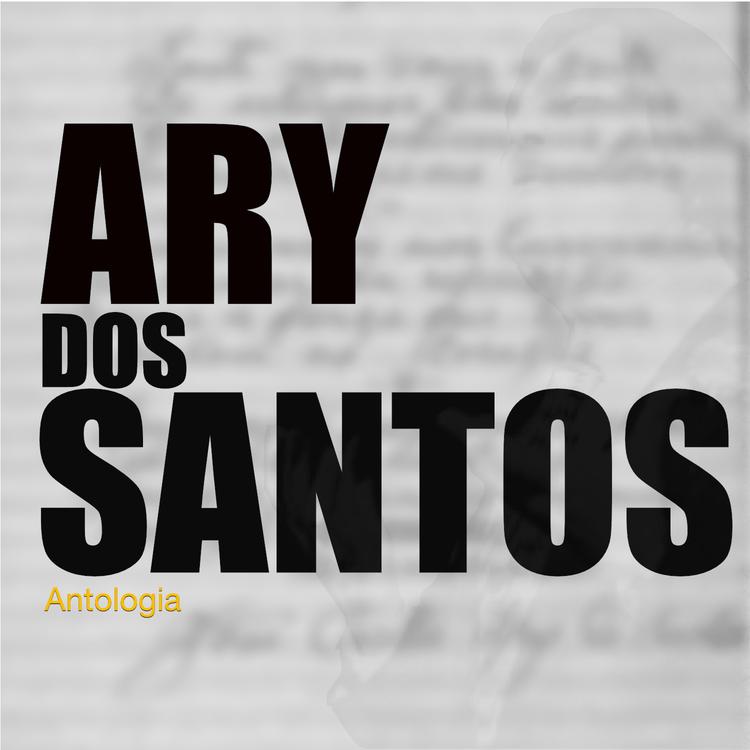 Ary Dos Santos's avatar image