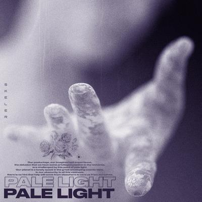 Pale Light By Skeler's cover