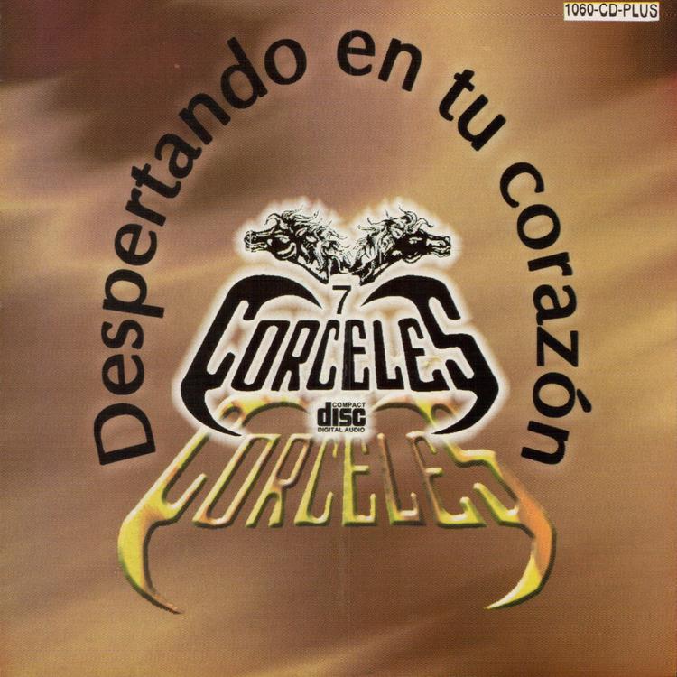 Los 7 Corceles's avatar image