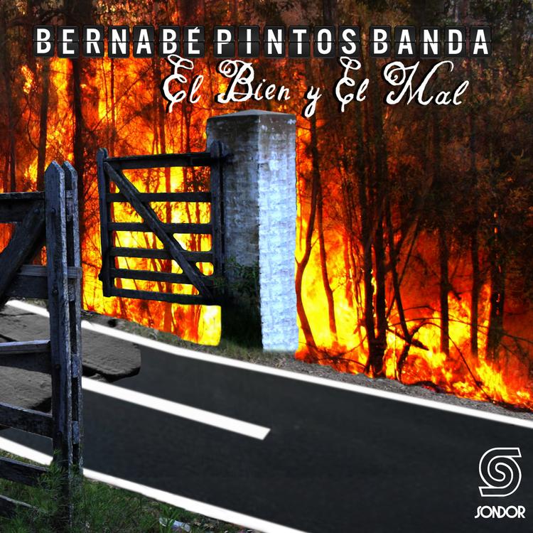 Bernabé Pintos Banda's avatar image