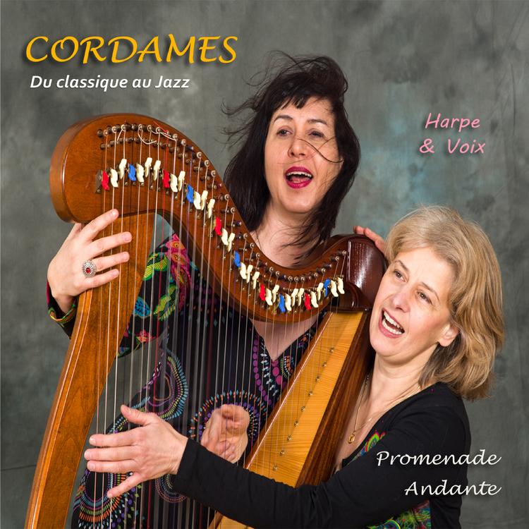 Cordames's avatar image