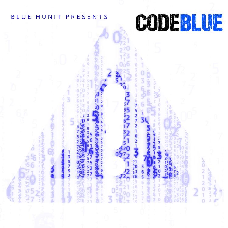 Blue Hunit's avatar image