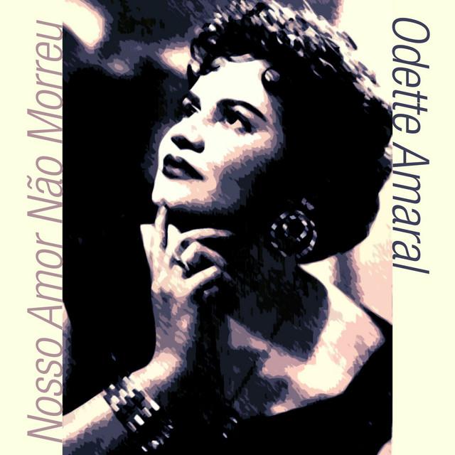 Odete Amaral's avatar image