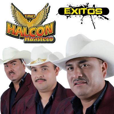 Trio Halcon Huasteco's cover