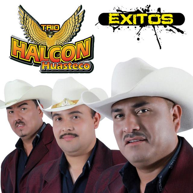 Trio Halcon Huasteco's avatar image