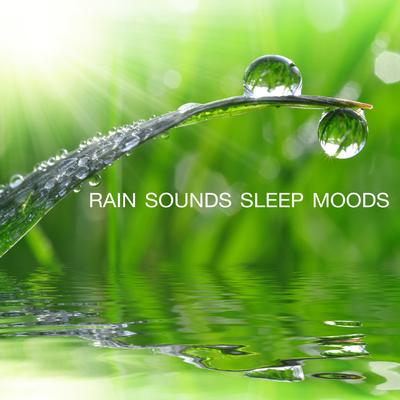 Rain Sounds - Sleep Moods's cover