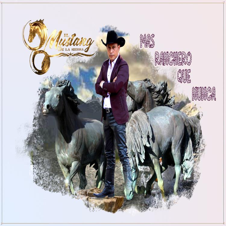 El Mustang De La Sierra's avatar image