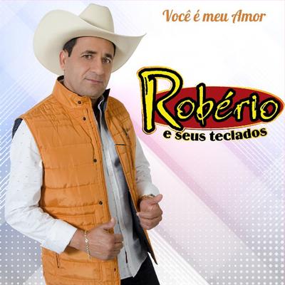 Ela Não Larga Eu By ROBÉRIO E SEUS TECLADOS's cover