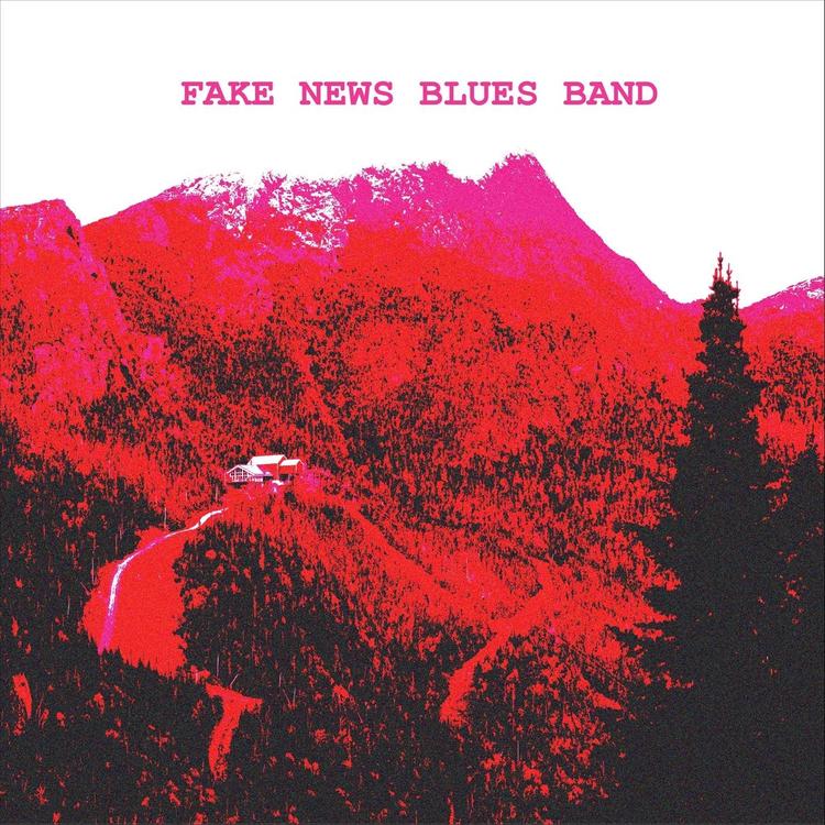Fake News Blues Band's avatar image