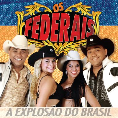 Os Federais, Vol. 01's cover