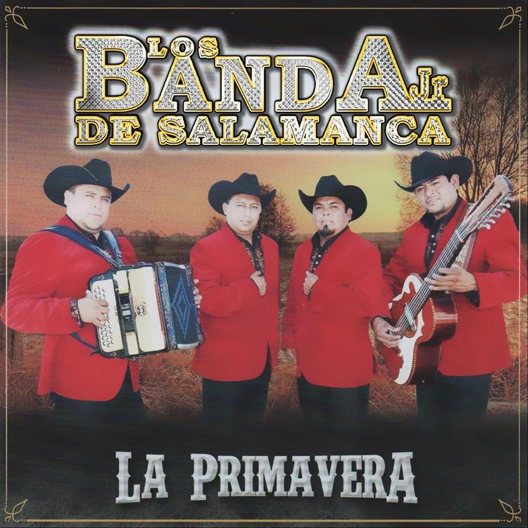 Los Banda Jr. de Salamanca's avatar image