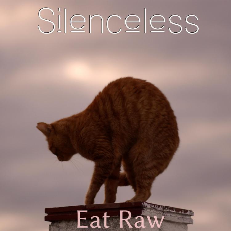 Silenceless's avatar image