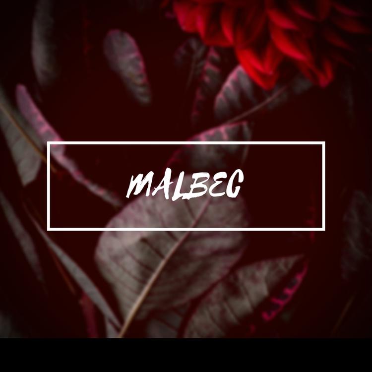Malbec's avatar image